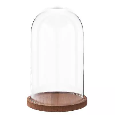 Buy 28cm Glass Display Bell Jar Round Cloche On Light Wood Base Display Stand  • 26.99£