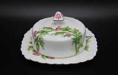 Buy 1952+ Royal Stafford Bone China  Scotch Thistle  Butter Dish Made In England • 22.74£