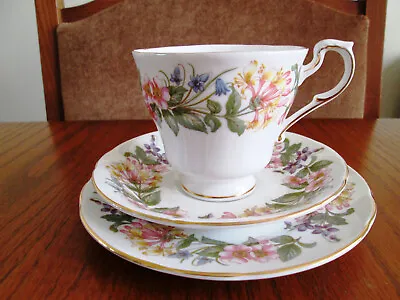Buy Paragon Country Lane Trio Cup Saucer Tea Plate Fine Bone China Vintage Pattern  • 6.99£