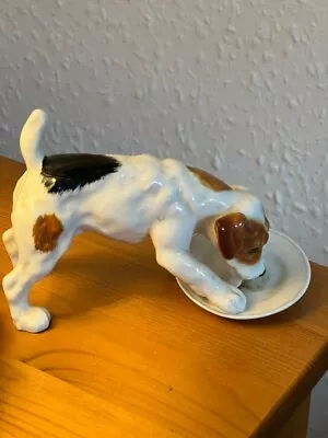 Buy Royal Doulton Terrier Dog Drinking From Saucer HN 1158 In Very Good Condition • 13£