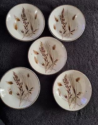 Buy Midwinter Stonehenge Wild Oats Set Of Five Coupe Cereal Bowl 6 1/2  England • 24.99£