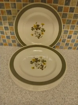 Buy Staffordshire Potteries Irish Meadow 6 X Small Dinner Plates Shamrock & Flower • 12.99£