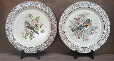 Buy 2 Vintage Purbeck Pottery 26.5 Cm Dinner Bird Plates • 5£