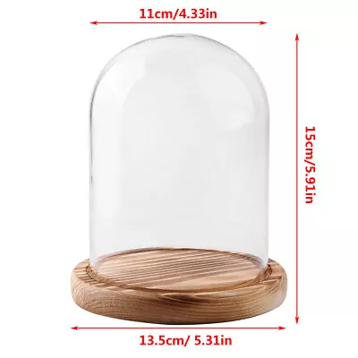 Buy UK Precious Clear Glass Bell Jar Cloche Display Dome Wooden Base Home Decoration • 9.99£