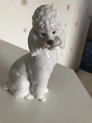 Buy Nao Lladro Poodle Dog 1985 6 Inch Tall See Photos • 9.99£