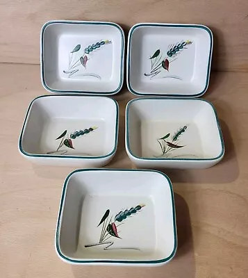 Buy Denby Greenwheat Dish Stoneware 12.5cm 5  Inch - Signed: A College X5 Set • 19.98£