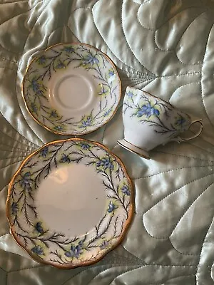 Buy Royal Albert Bone China - Heather Bell Blue - Trio - Cup, Saucer, Side Plate • 10.99£