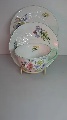Buy Vintage Shelley China England  Trio Oleander Shape Cup Saucer Plate Wild Flowers • 79.99£