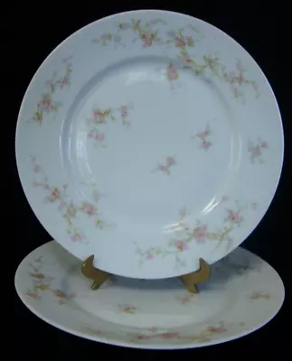 Buy Theodore Haviland Limoges Lucille Dinner Plates SET OF 2 Antique 1903-1925 • 23.16£
