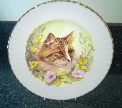 Buy Royal Vale Bone China Cat Plate 10 Inches Decorative Use Made In England • 14.99£
