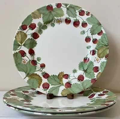 Buy Set Of 3 Royal Stafford China WILDBERRY 11  Dinner Plates • 27.46£
