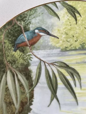 Buy Kingfisher Bird Royal Doulton Collectors Plate 1986 Waterside By Elizabeth Gray • 9.99£