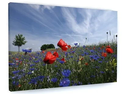 Buy Poppy Field Flower Meadow Landscape Canvas Picture Print Wall Art  • 76.76£