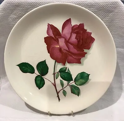 Buy Swinnertons Nester Vellum 'Rose' Dinner Plate - 25cm • 5£