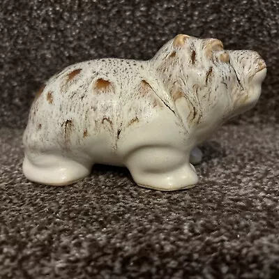 Buy Fosters Hippo Money Box With Stopper  Blonde Honeycomb Cornish Pottery Free P&p • 14.99£