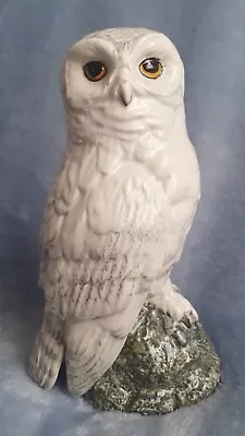 Buy Vintage BENEAGLES Ceramic Snowy Owl Figurine Decanter • 120£