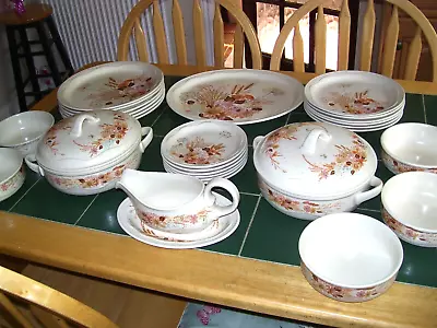 Buy Poole Pottery 30 Piece Summer Glory Dinner Service - Extremely Good Condition • 35£