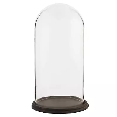 Buy Glass Display Cloche Bell Jar Dome Flower Preservation Dark Wooden Base 39cm • 49.99£