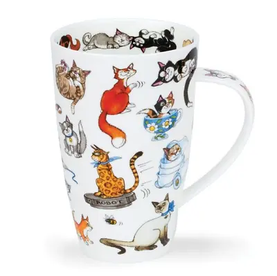 Buy Colourful Humour Catastrophe Cat Kitten Fine Bone China Mug Cup • 31.95£