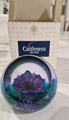 Buy Caithness Tropicana Limited Edition (647) Paperweight. • 25£