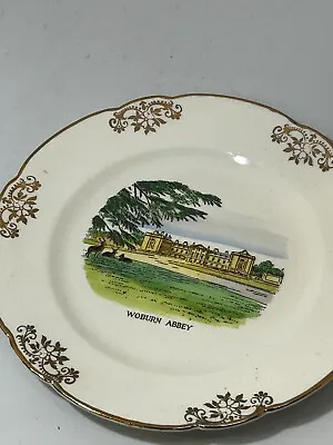 Buy Buckfast Potteries Devon Woburn Abbey Collectible Decorative Plate Display  #LH • 2.99£