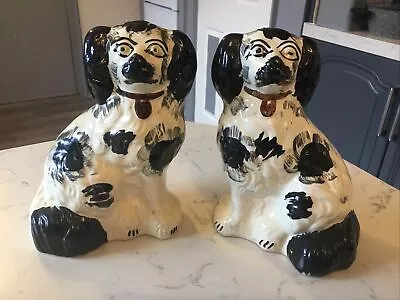 Buy A Good Pair Of  Rare Victorian Antique,black & White Staffordshire Dogs . • 89£