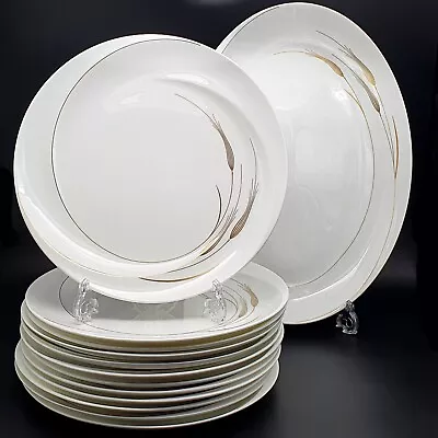 Buy Wedgwood Serenity X12 Dinner Plates And Serving Plate Gold Wheat Shape 225 VGC • 184.95£