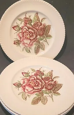 Buy Johnson Brothers Old Flower Prints Roses 9.75  Dinner Plates X2 • 10£