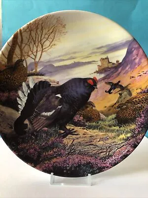 Buy Royal Grafton Black Grouse Countryside Scene Fine Bone China Plate 8.4 Inch Rare • 4£