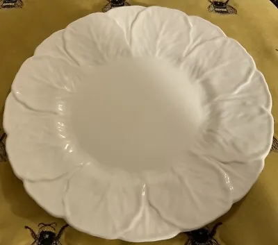 Buy Coalport Bone China White Countryware 9” Salad Luncheon Plate Cabbage Leaf • 40£