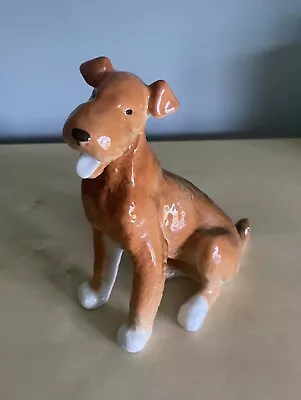 Buy Lomonosov Russian Porcelain Dog Figurine, Airedale Terrier, 7  Tall, 5.5  Long • 21.99£