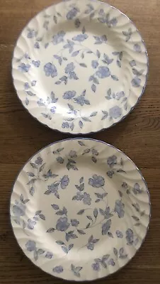 Buy 2 X Bristol Blue Dinner Plates International Tableware • 14£