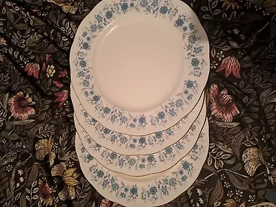 Buy Vintage Colclough Braganza Bone China Dinner Plates 10 1/2  Superb Examples  • 20£