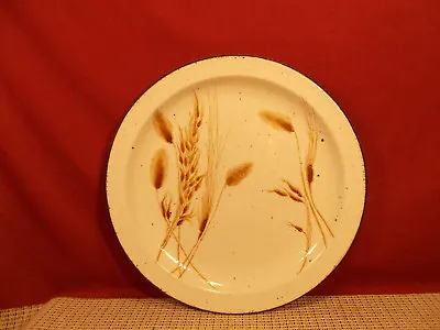 Buy Midwinter China Wild Oats Pattern Dinner Plate 10 3/8  • 6.71£