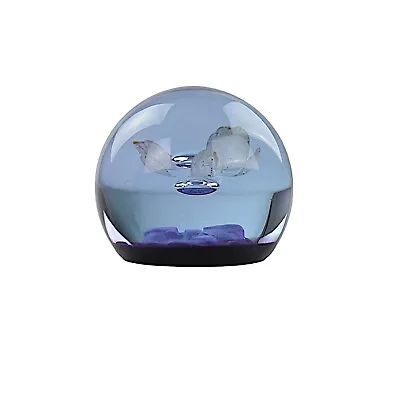 Buy Caithness Glass Paperweight, Astral, Ltd Ed • 23£