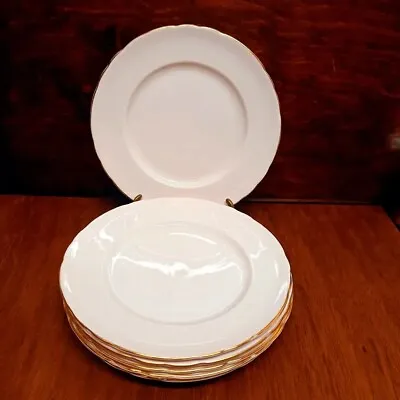 Buy Vintage 1960s TUSCAN Fine English Bone China Dinner Plates Set Of 6 Charming! • 35£