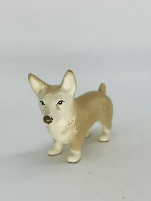 Buy Szeiler Dog Corgi 8cm High Made In England 1960 Handpainted • 8£