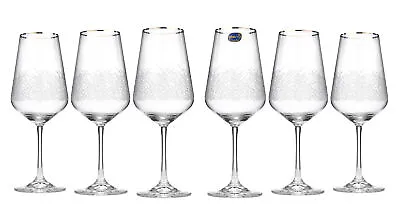 Buy Elegant And Modern Sandra Frost Glassware Set With Platinum Rim For Parties • 80.69£