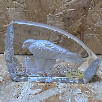 Buy Wedgewood Crystal Glass Bird Paperweight - Eagle Hawk & Chick - 7.5 X 11 X 3cm • 8.99£