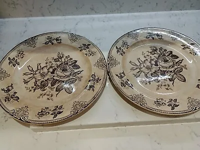 Buy ANTIQUE DAVENPORT? PAIR OF DINNER PLATES IN   ROSE & LILY  PATTERN Circa 1850? • 12.99£