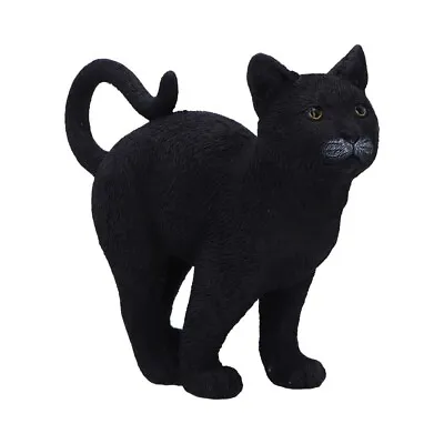 Buy Moonlight Watcher Black Cat Figurine Nemesis Now Gothic Witch Kitty Resin Gift • 11.99£