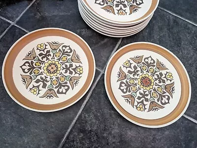 Buy Vintage Denby Canterbury / Langley Dinner Plates X 9 Great Condition 10 Inches • 29.99£