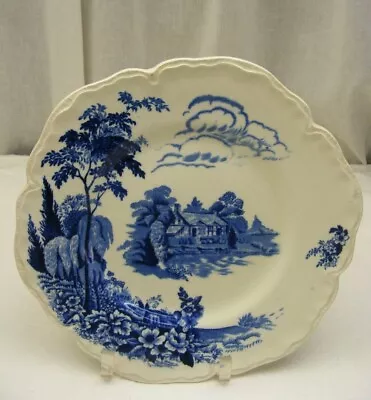 Buy Vintage Thomas Hughes & Sons Blue China 10  Plate Eden Pattern England • 40.67£
