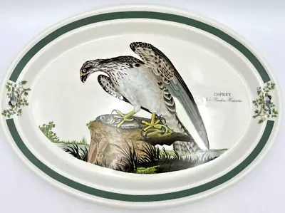 Buy Portmeirion Birds Of Britain Osprey 13  Oval Serving Grilling Platter Rare • 102.30£
