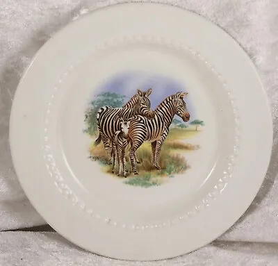 Buy Royal Cauldon Pin Tray Small Plate 5 Inches Across Zebra Collectable • 2.50£