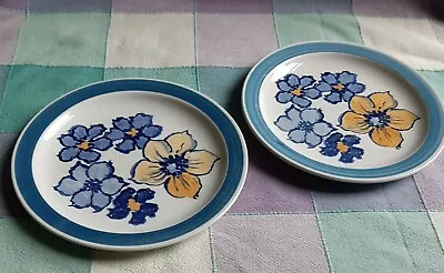 Buy 2 X Rare Vintage Burleigh Ironstone Lausanne 17.5cm Plates Blue Flowers  • 10£