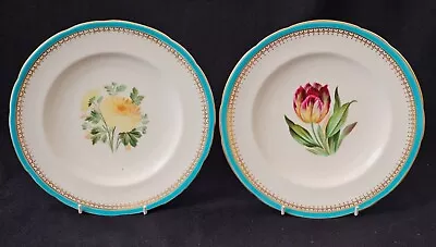 Buy Set Of Two Antique Minton Bone China Hand Painted Plates Decorated With Flowers • 30£