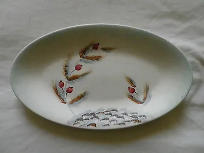Buy Edward Radford Pottery England Hand Painted Oval Plate / Dish. • 7.99£