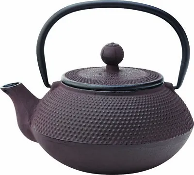 Buy Mandarin Cast Iron Teapot With Infuser Rustic 24oz - Oriental Hobnail Tea Pot • 26.95£