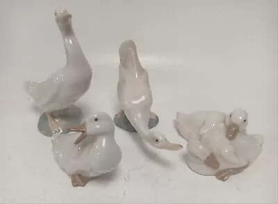 Buy Lladro Nao Porcelain Duck Bundle Of 4 Figurines White Optimistic Duck Handmade  • 9.99£